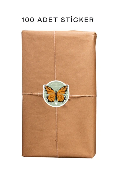 100 Adet Teşekkür Ederiz Stickers Paketleme Kargo Çıkartma PYT0KSTK153 - 2