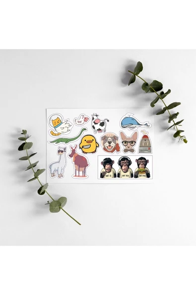 Kedi Hayvanlı Yazılı Tasarımlı A5 12 Adet Stickers Çıkartma Pytkstkr36 - 1