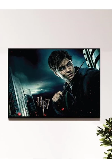 HP Tasarımlı 24*33 cm 350 gr. Kuşe Kağıt Poster PYTKPSTR043