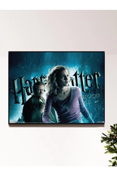 HP Tasarımlı 24*33 cm 350 gr. Kuşe Kağıt Poster PYTKPSTR045