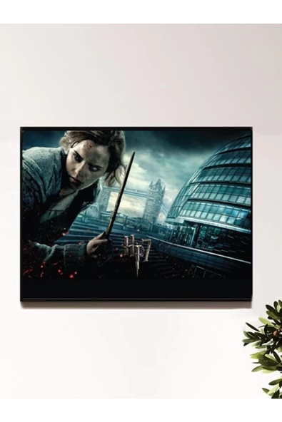 HP Tasarımlı 24*33 cm 350 gr. Kuşe Kağıt Poster PYTKPSTR046