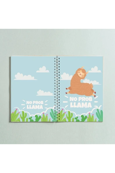 No Problama Lama Tasarım Spiralli A5 96 Yaprak Çizgisiz Defter Pytkdt0237 ürün görseli