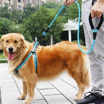 Reflektörlü Fosforlu Köpek Gezdirme Halatı Tasma Kayışı Metal Kancalı 130 cm