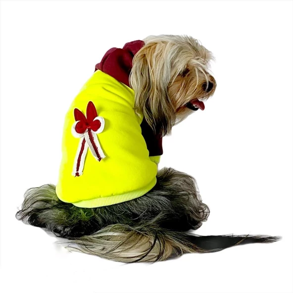 Bunny Bordo Fosfor Kapşonlu Sweat by Kemique Köpek Kazağı - 4