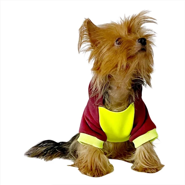 Bunny Bordo Fosfor Kapşonlu Sweat by Kemique Köpek Kazağı - 7