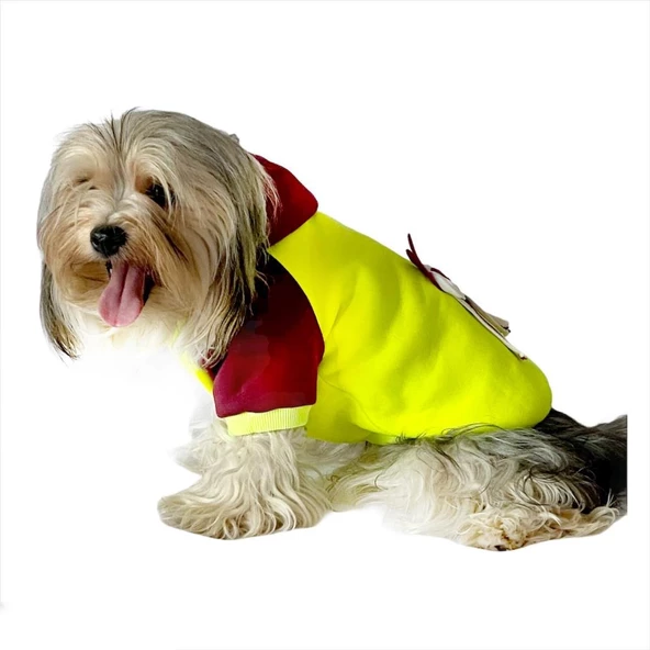 Bunny Bordo Fosfor Kapşonlu Sweat by Kemique Köpek Kazağı - 8