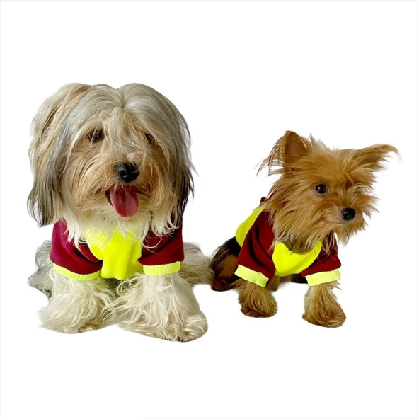 Bunny Bordo Fosfor Kapşonlu Sweat by Kemique Köpek Kazağı - 2