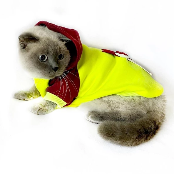 Bunny Bordo Fosfor Kapsonlu Sweatshirt Kedi Süeteri Kedi Kıyafeti