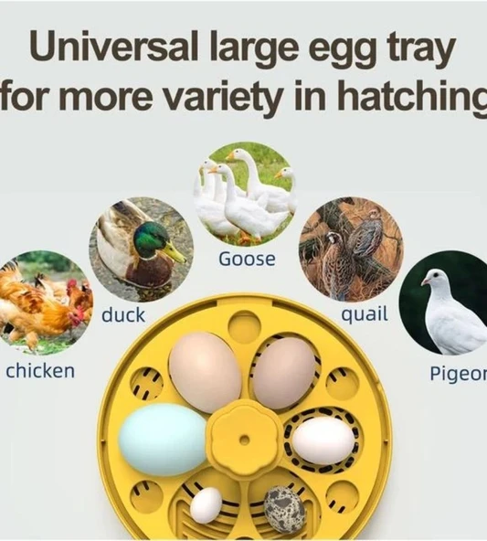 Mini Otomatik Ev Tipi Kuluçka: Elektrikli Tavuk Ve Kuş Kuluçka Makinesi 6 Yumurtalı Mx-6 - Resim 5