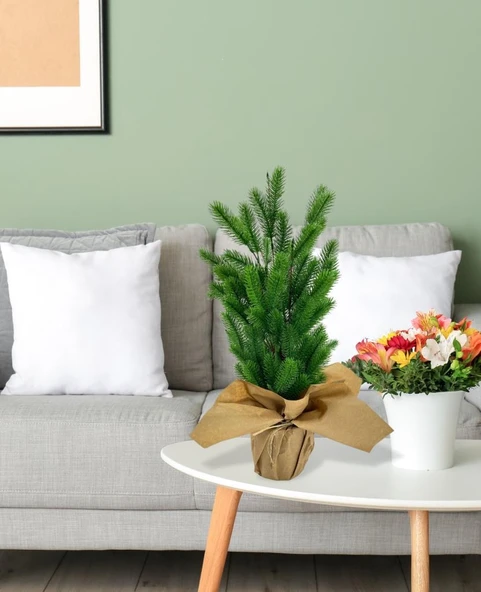 Nettenevime Yılbaşı Ağacı Yapay Çam Ağacı Kraft Saksıda 55cm - Resim 3