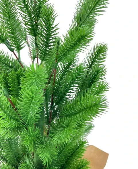 Nettenevime Yılbaşı Ağacı Yapay Çam Ağacı Kraft Saksıda 55cm - Resim 6