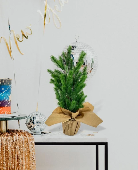 Nettenevime Yılbaşı Ağacı Yapay Çam Ağacı Kraft Saksıda 55cm - Resim 2