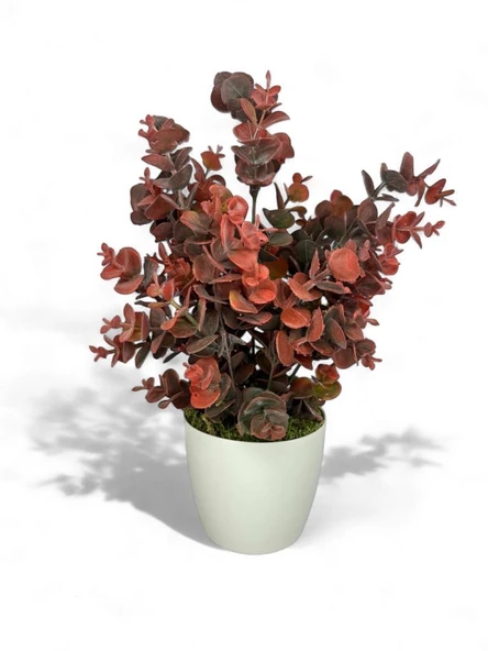 Nettenevime Yapay Çiçek Beyaz Saksıda Okaliptus Şimşir Demeti Pudralı Pastel Bordo Dekoratif Yapay Bitki - 2