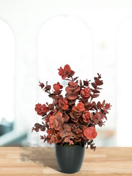 Nettenevime Yapay Çiçek Siyah Saksıda Okaliptus Şimşir Demeti Pudralı Pastel Bordo Dekoratif Yapay Bitki - Resim 4