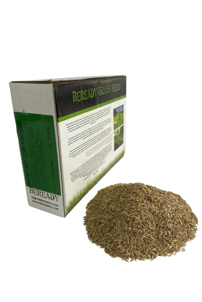Beready 6 Karışımlı Çim Tohumu 1 Kg - 2