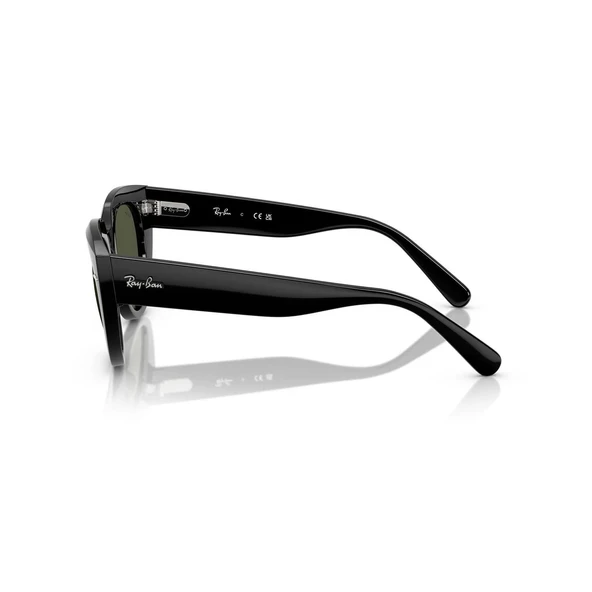 Rb 2286 901/31 49 Ray-ban Doreen Güneş Gözlüğü Siyah - 4