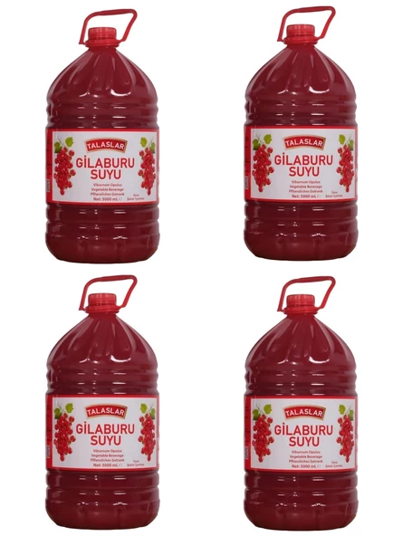 Kayseri Pazarı Gilaburu Suyu Nektarı 5 Litre x 4 Adet ürün görseli 1