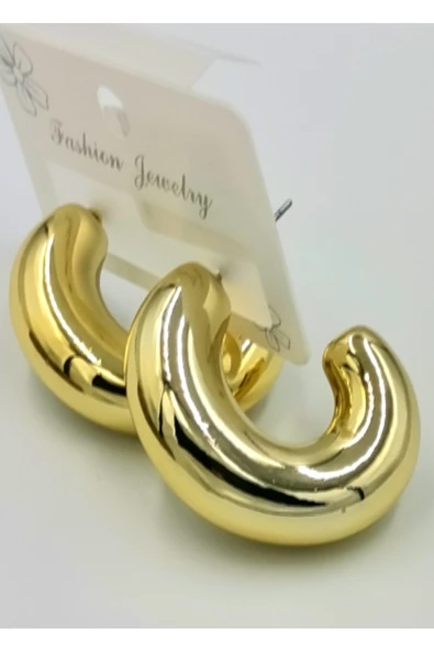 Kararmaz Çelik Lüks Küpe ürün görseli 1