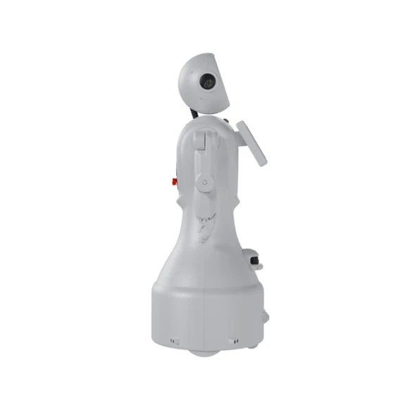 Mini Ada Sosyal Robot - 3