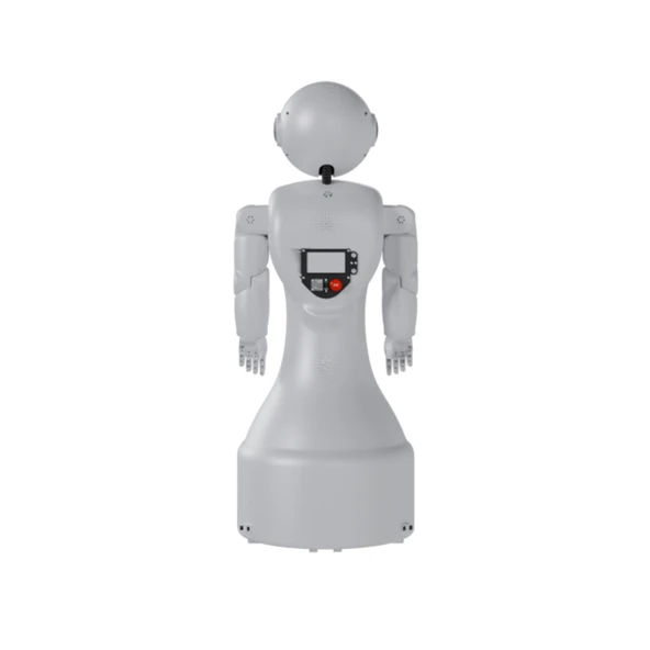 Mini Ada Sosyal Robot - 2