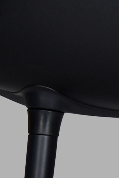 Vilinze Eames Siyah Ahşap Ayak Plastik Siyah Sandalye - 4