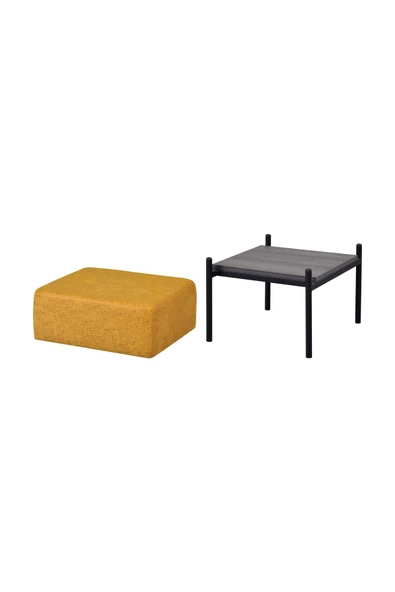 Vilinze Ege T2 29 Fonksiyonel Sehpalı Puf - 3