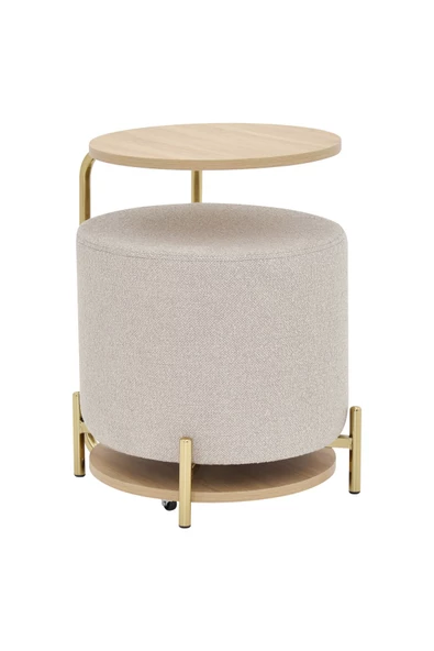 Vilinze Çok Amaçlı Metal Gold Ayak C Sehpa Teddy Puf Seti