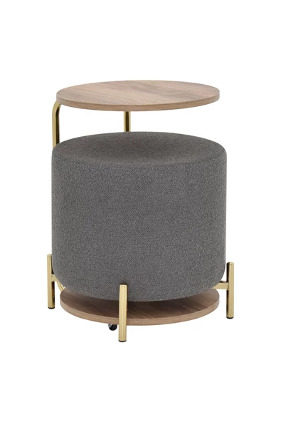 Vilinze Çok Amaçlı Metal Gold Ayak C Sehpa Teddy Puf Seti