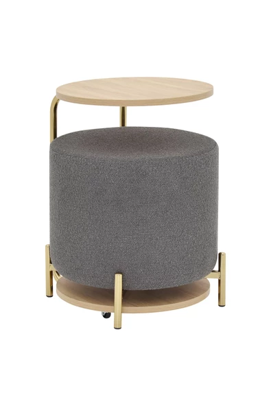 Vilinze Çok Amaçlı Metal Gold Ayak C Sehpa Teddy Puf Seti