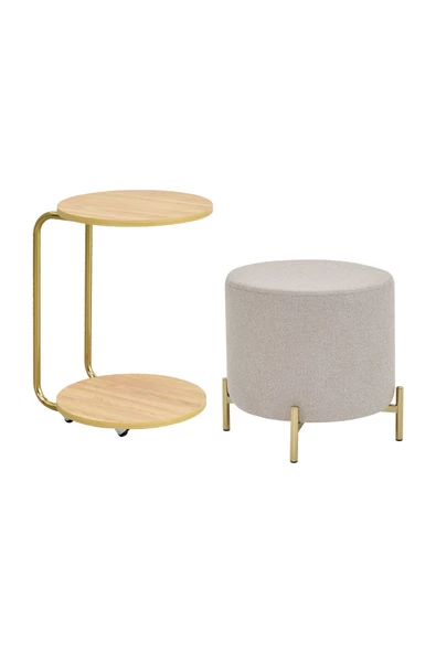 Vilinze Çok Amaçlı Metal Gold Ayak C Sehpa Teddy Puf Seti - 2