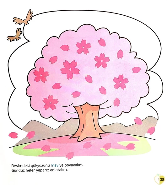 Okul Öncesi Cıvıl Cıvıl Seti Kavramlar - 3