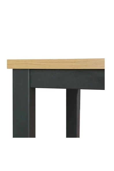 Zizuva Tasarım Minimalist Çalışma Masası - Resim 5