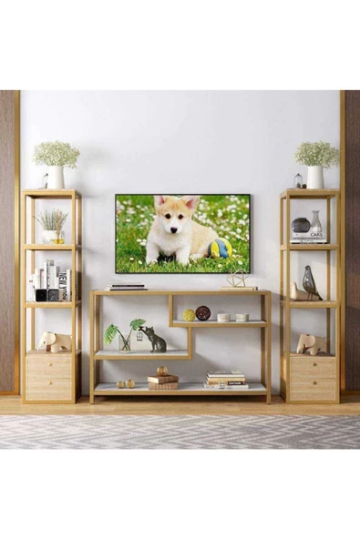 Zizuva Gold Tasarım Tv Sehpası - 3