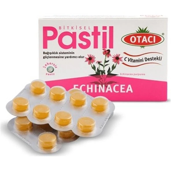 Otacı Echinacea (ekinezya) Pastıl 16 Adet ürün görseli 1