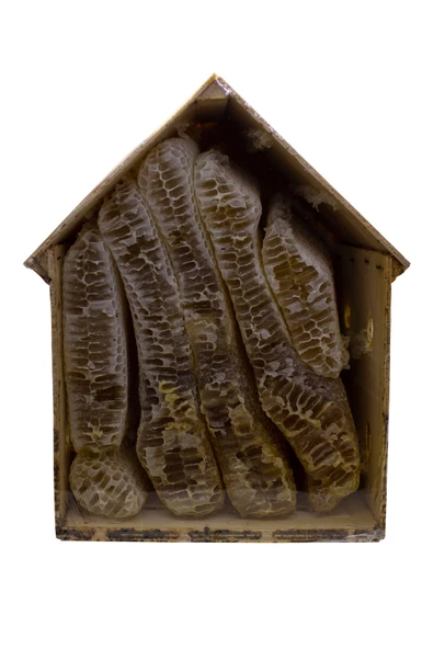 Yayla Gurme Iğdır Karakovan Petek Balı 1 kg - 2