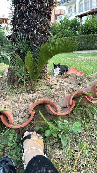 Şerit Detay , Şeffaf Tokalı Baklava Ped Üst Kalite Şık Terlik - 4