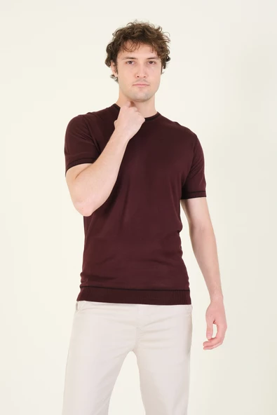 Erkek Sıfır Yaka Biyeli Merserize T-Shirt Mürdüm - 2