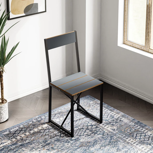 Eportatif Mutfak Sandalyesi Salon Balkon Atlantik Sandalye Füme 1419 - 3