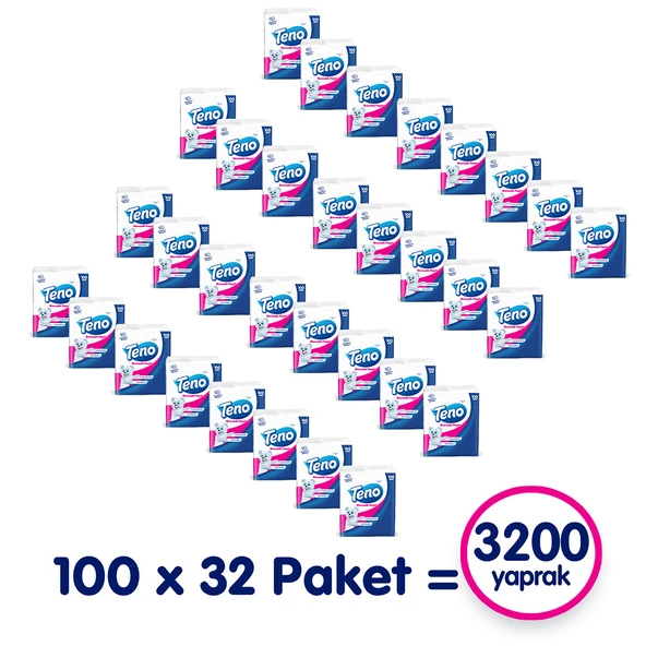 Teno Peçete 100'lü (32 PAKET X 100 YAPRAK) - 2