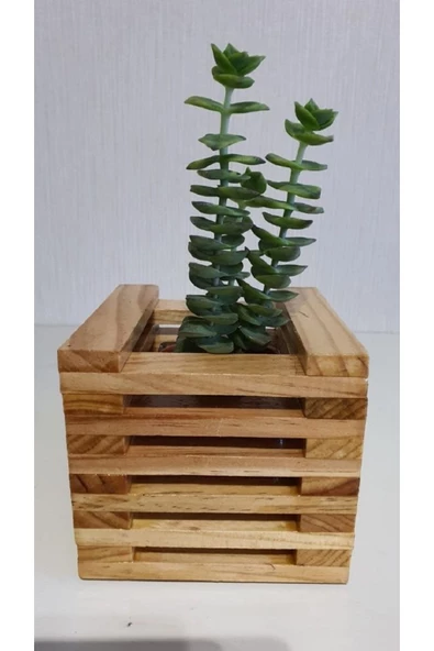 aden home senin evin senin dünyan Ahşap Saksılık, Çiçeklik, Saksı Standı, 25x25cm Dekoratif Saksılık Rafı, Doğal Çam, ASKS39