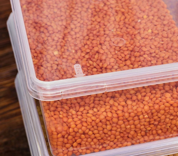 Superpup Saklama Kabı 20 Adet 1 Litre Kendinden Kapaklı Ve Kilitli Dondurucu Ve Gıda Hava Almaz 19x13x6 Cm - 3