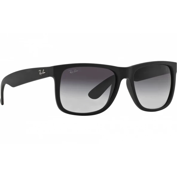 Ray-Ban 4165 / 601/8G Unisex Güneş Gözlüğü