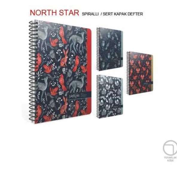 Gıpta North Star Spiralli Sert Kapak 17*24 120 Yaprak Kareli Defter 5917