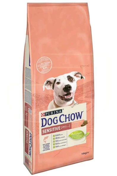 Dog Chow Somonlu Hassas Yetişkin Köpek Maması 14 Kg