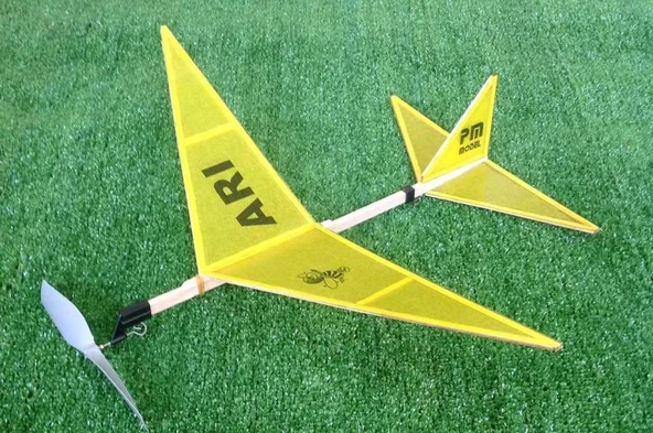 PM Model 1001 Arı Lastik Motorlu Çubuk Gövdeli Demonte Serbest Uçuş Modeli - 2