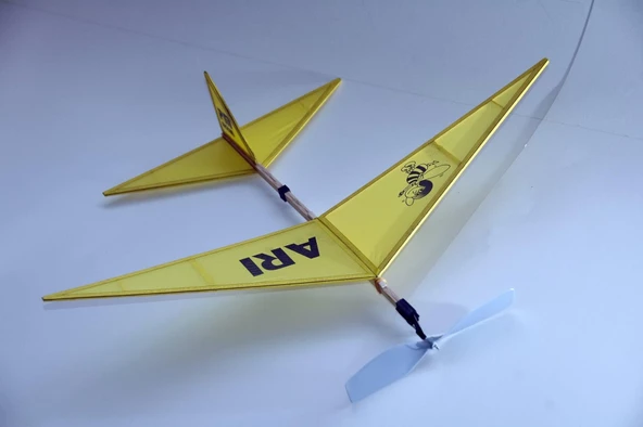 PM Model 1001 Arı Lastik Motorlu Çubuk Gövdeli Demonte Serbest Uçuş Modeli - 5