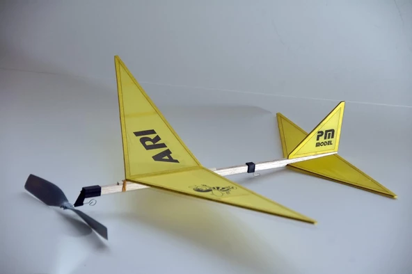 PM Model 1001 Arı Lastik Motorlu Çubuk Gövdeli Demonte Serbest Uçuş Modeli - 4