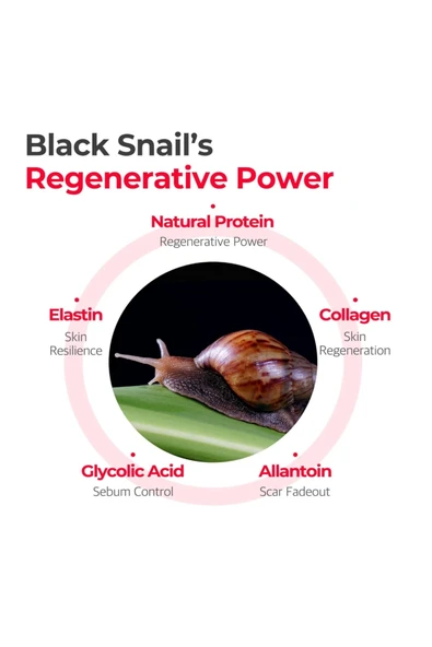 SOME BY Mİ,SOMEBYMI Snail Truecica Miracle Repair Cream 60g - Resim 5