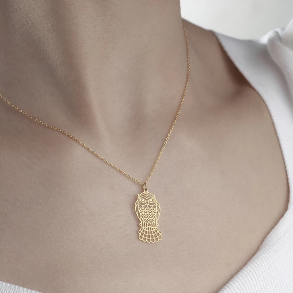 925 Ayar Gümüş Baykuş Figürlü Kolye - Resim 11