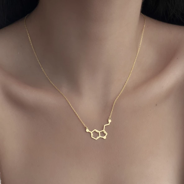 925 Ayar Gümüş Serotonin Kolye ürün görseli 1